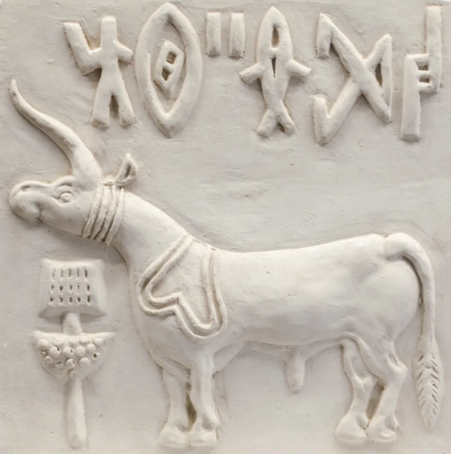 За розшифрування стародавнього письма долини Інду обіцяють премію в 1 млн доларів: що про нього відомо